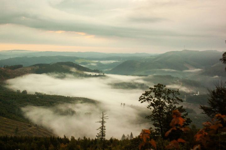 Nebeltal im Rothaargebirge